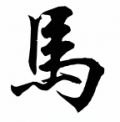 Konj