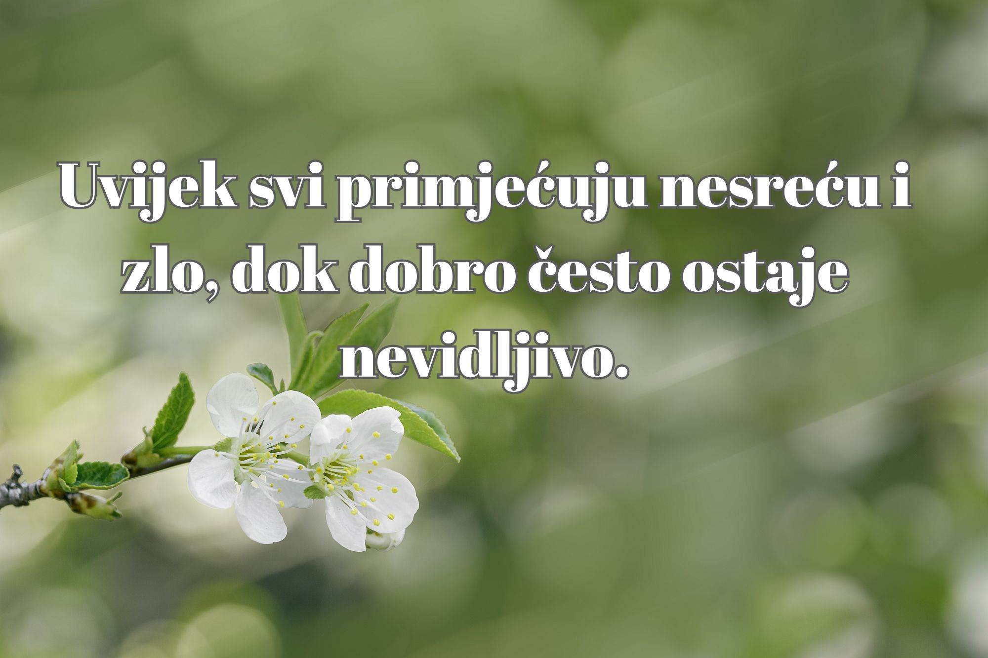 Meša Selimović