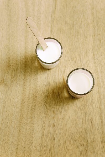 probiotici