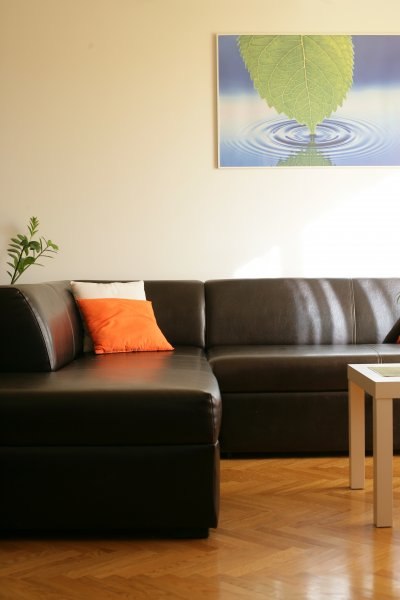feng shui