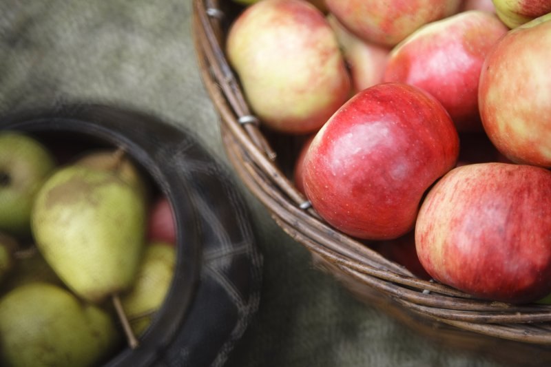 jabuke i kruške