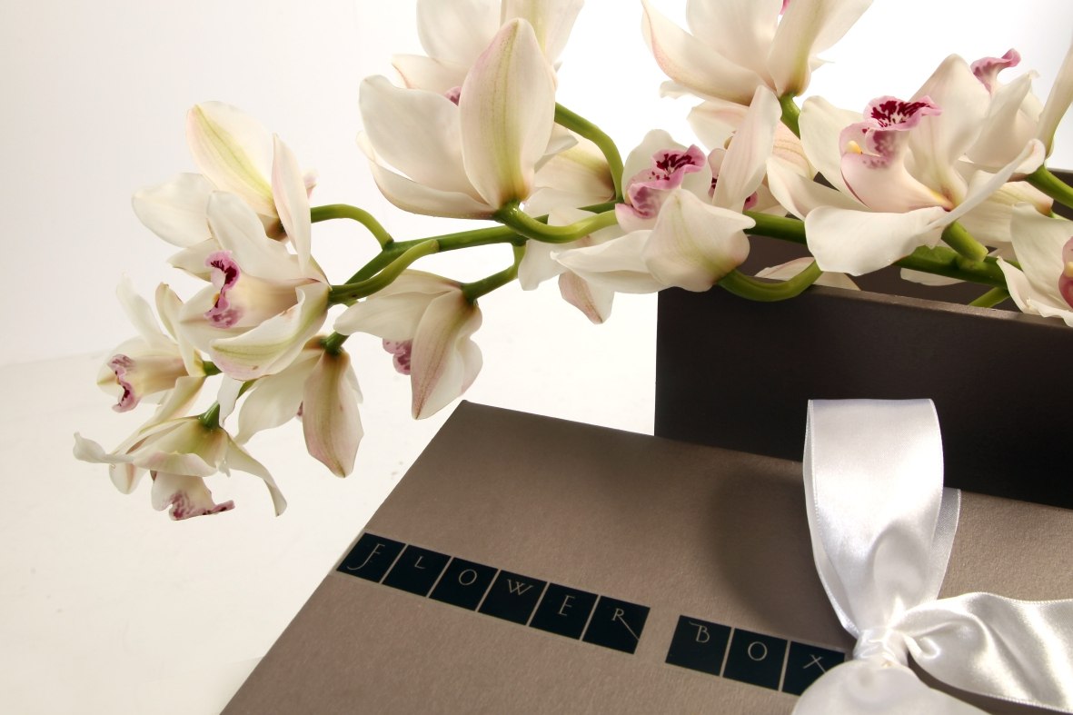 flower box - orhideja