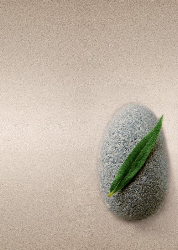 zen