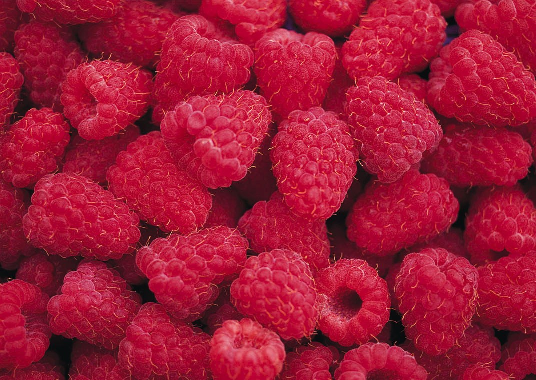 maline