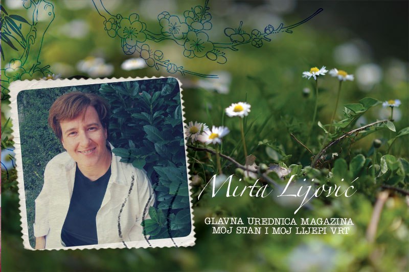 mirta lijović