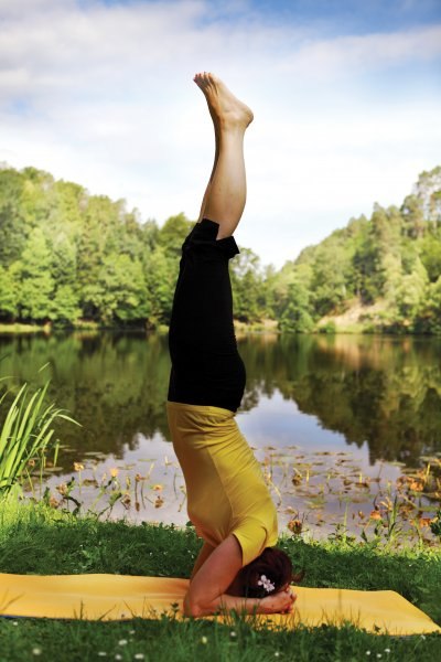 joga 13