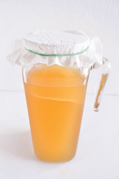 kombucha 1