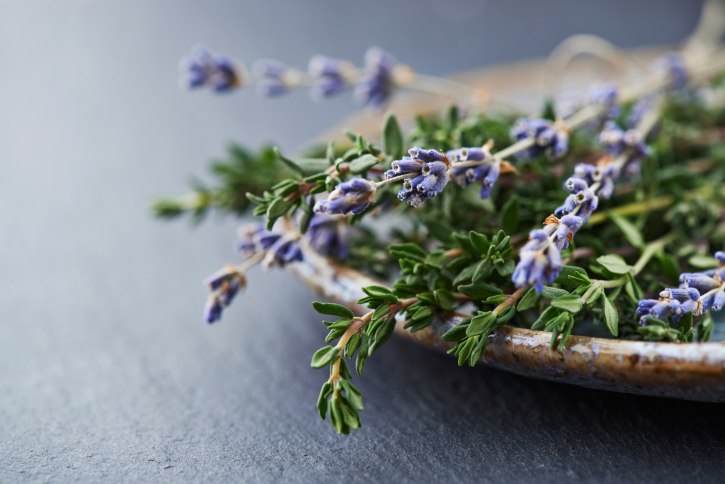 lavanda