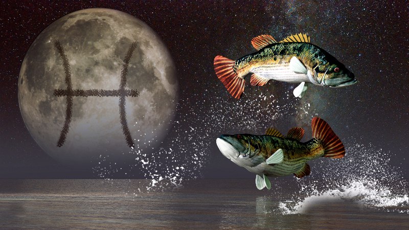 horoskop