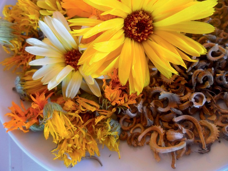 aromaterapija tihana