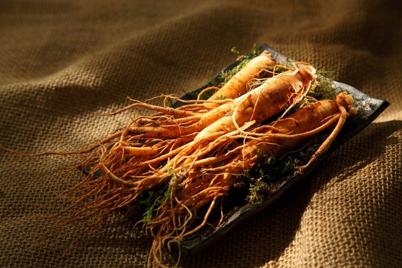ginseng