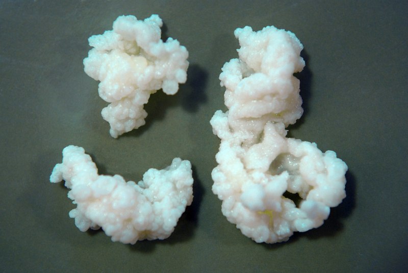 kefir