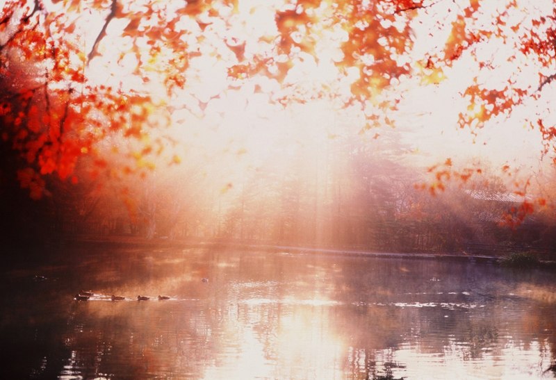 sunce jesen