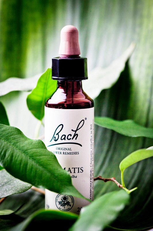 bach