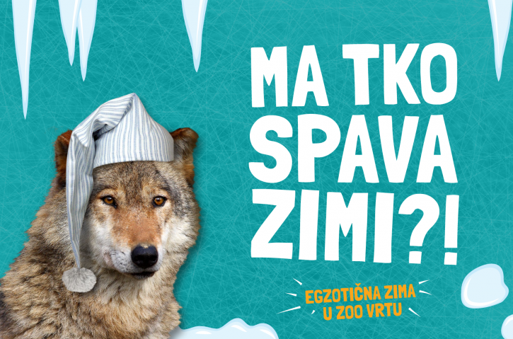zoo