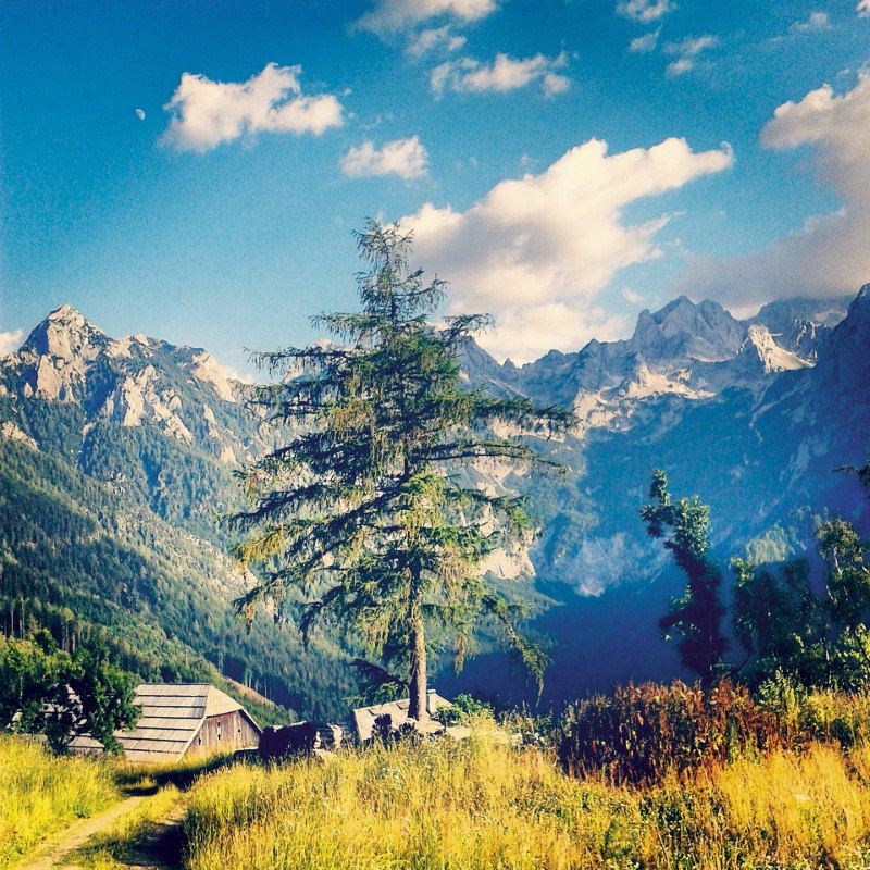 logarska dolina 4