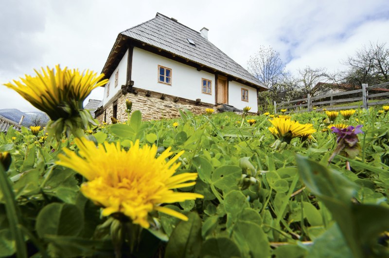 Bosna