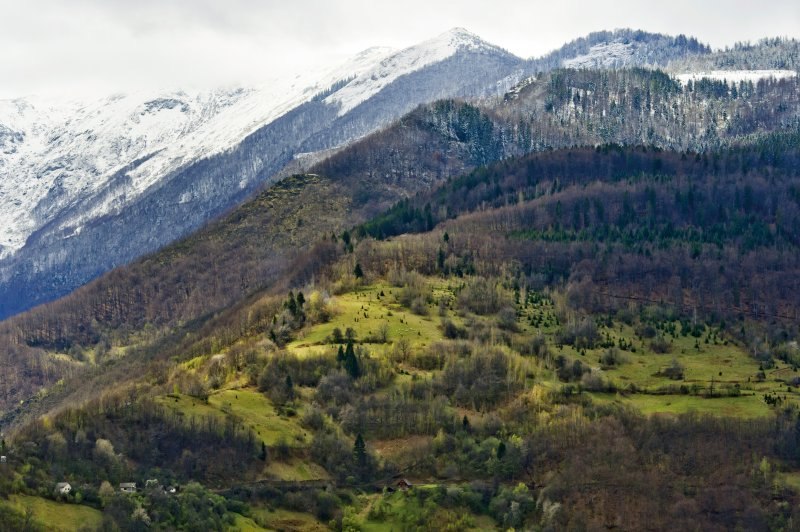 Bosna 9