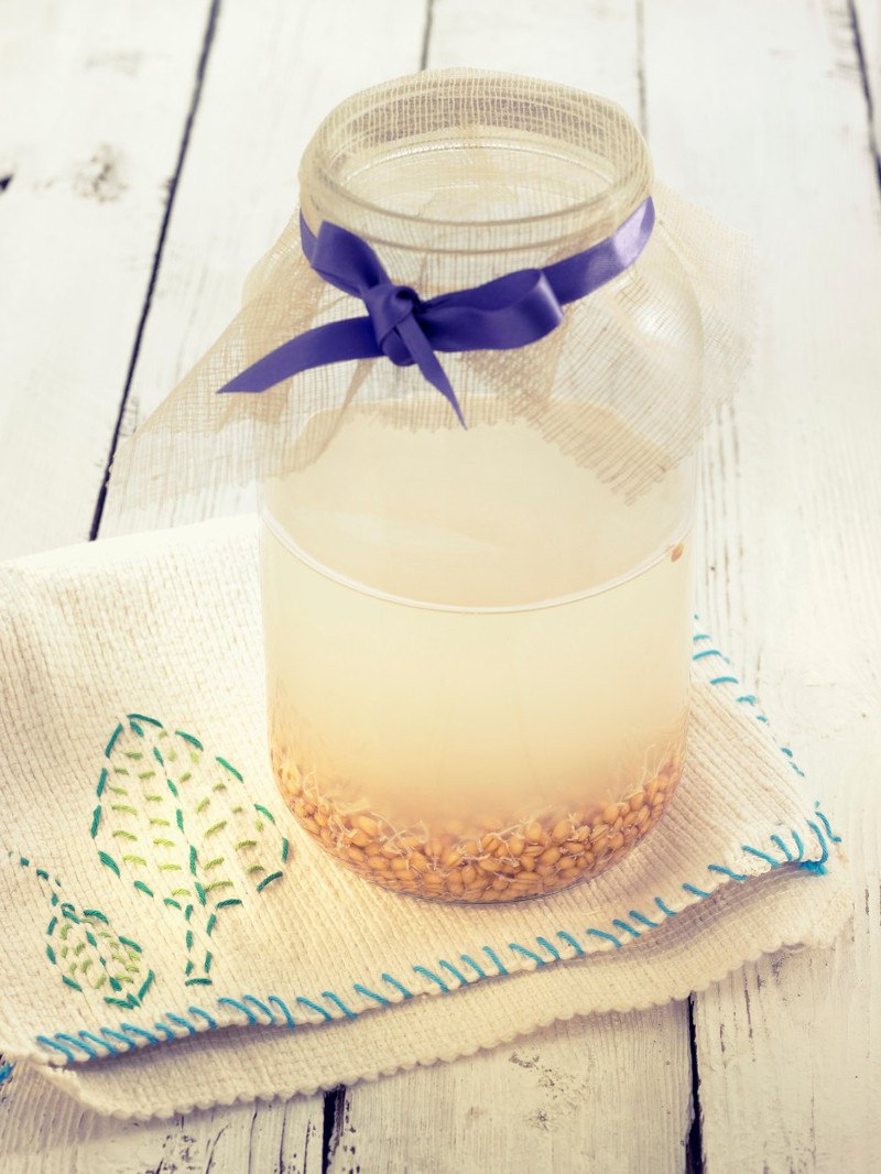 fermentiranje napitka