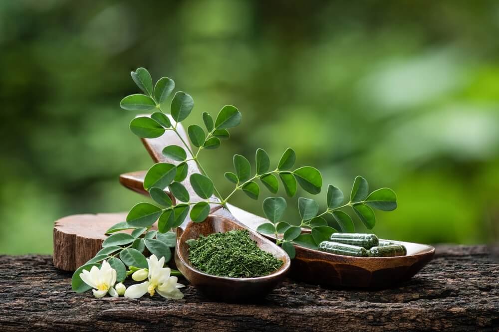 moringa prah