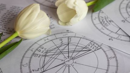 Tjedni horoskop