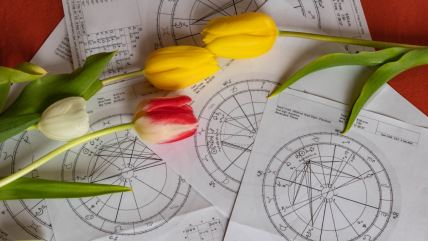 Tjedni horoskop