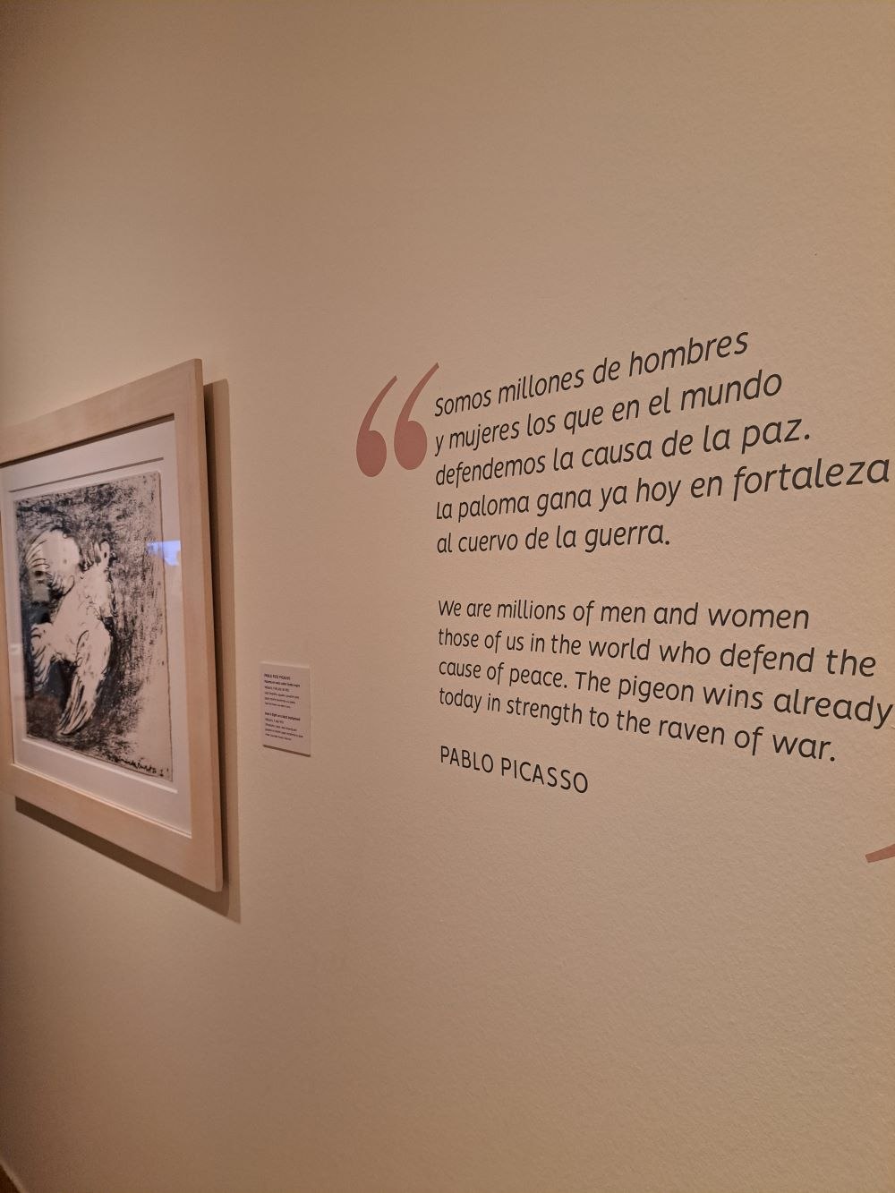 picasso