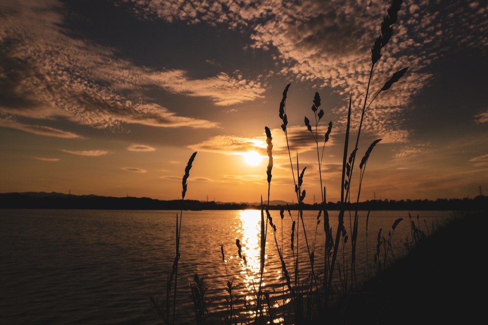 jezero rakitje