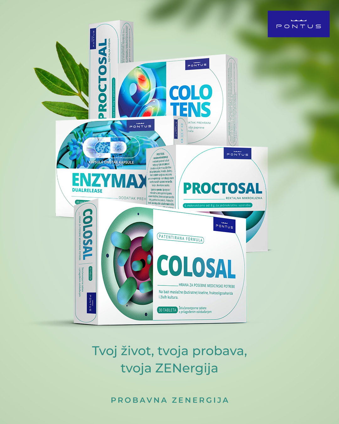 Probavna ZENergija.png