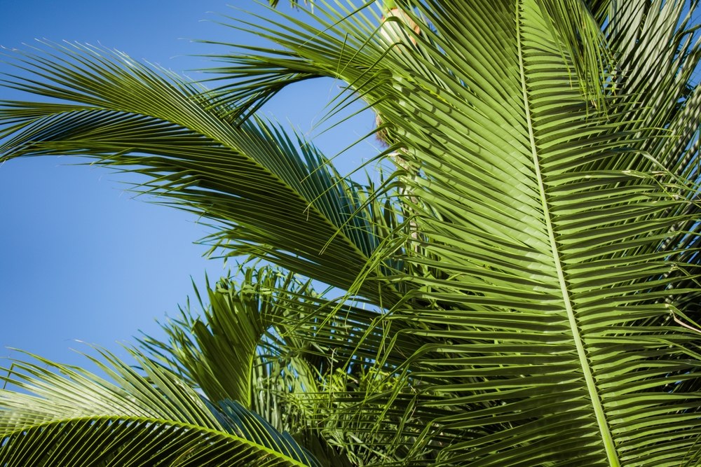 shutterstock_2474804637 (1).jpg