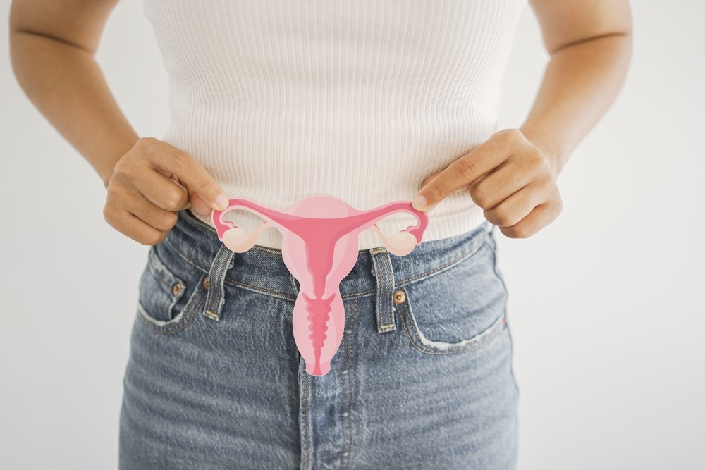 Perimenopauza