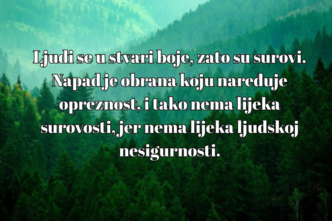 Meša Selimović