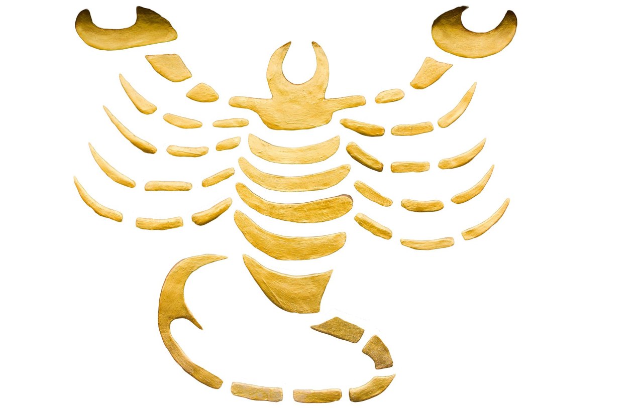 Škorpion.jpg