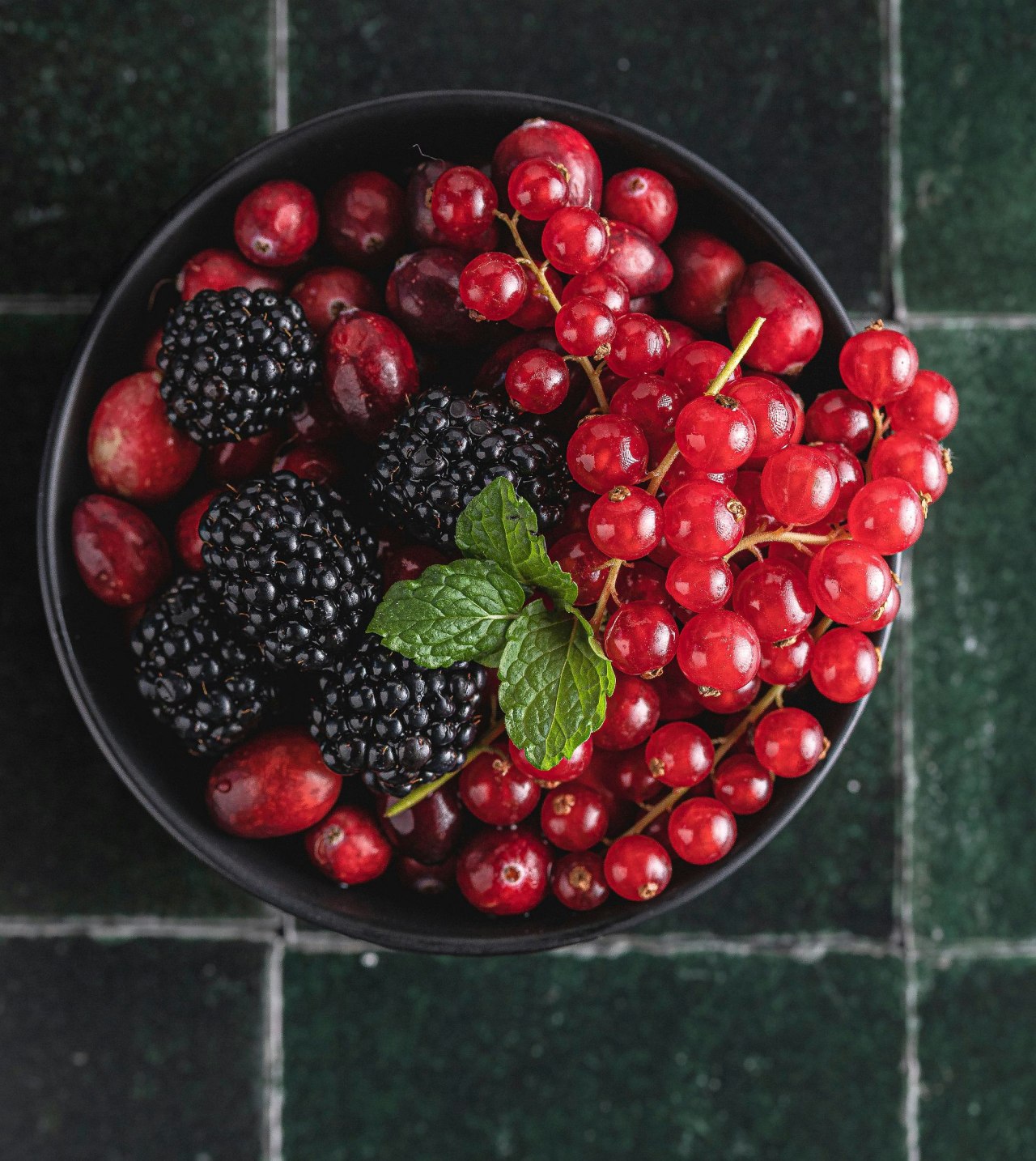 Voće borovnice ribizl.jpg