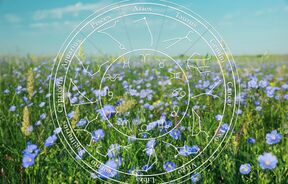 Vikend horoskop
