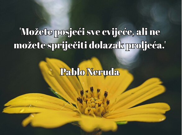 Citati o nadi
