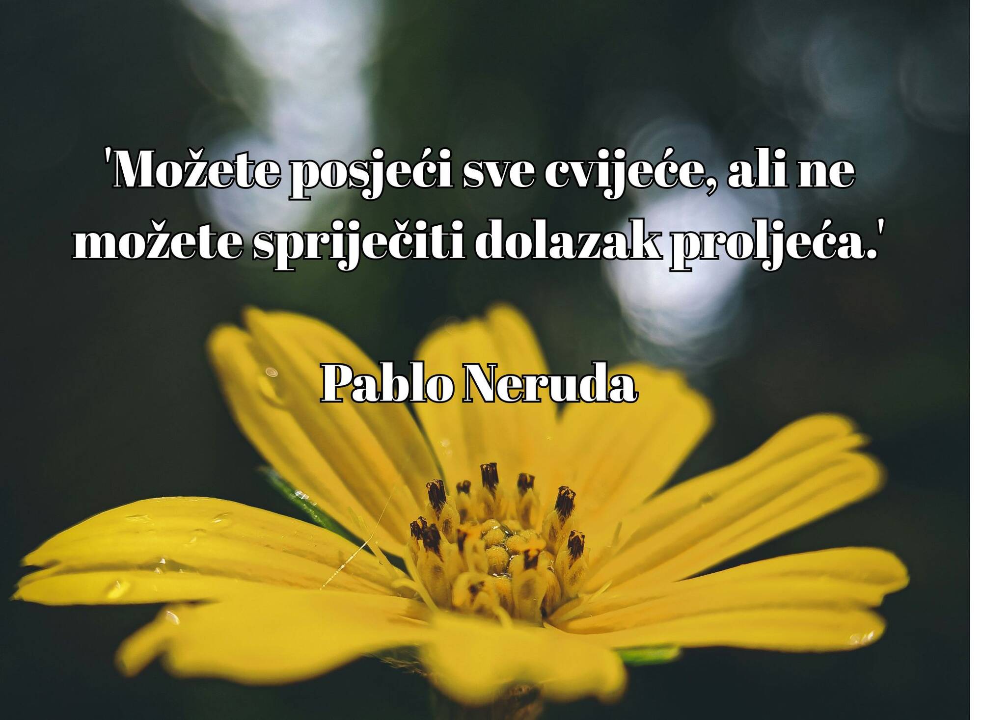 Citati o nadi