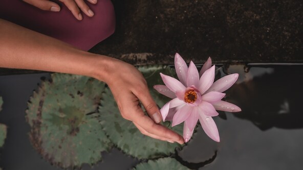 Kineski horoskop lotus cvijet.jpg
