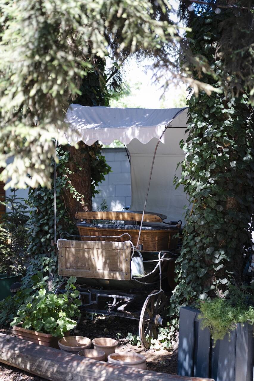 botanist (16).jpg