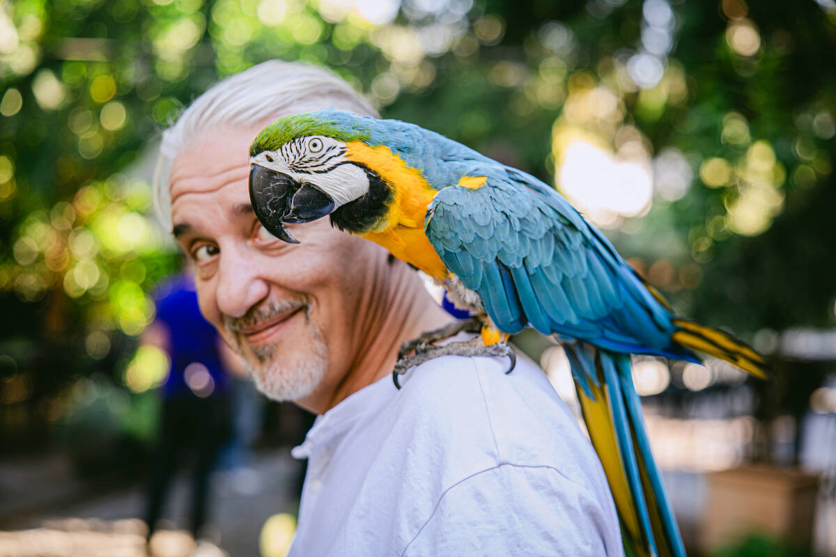 Antonio Križić, vlasnik restorana Botanist i Pablo's Bara.jpg