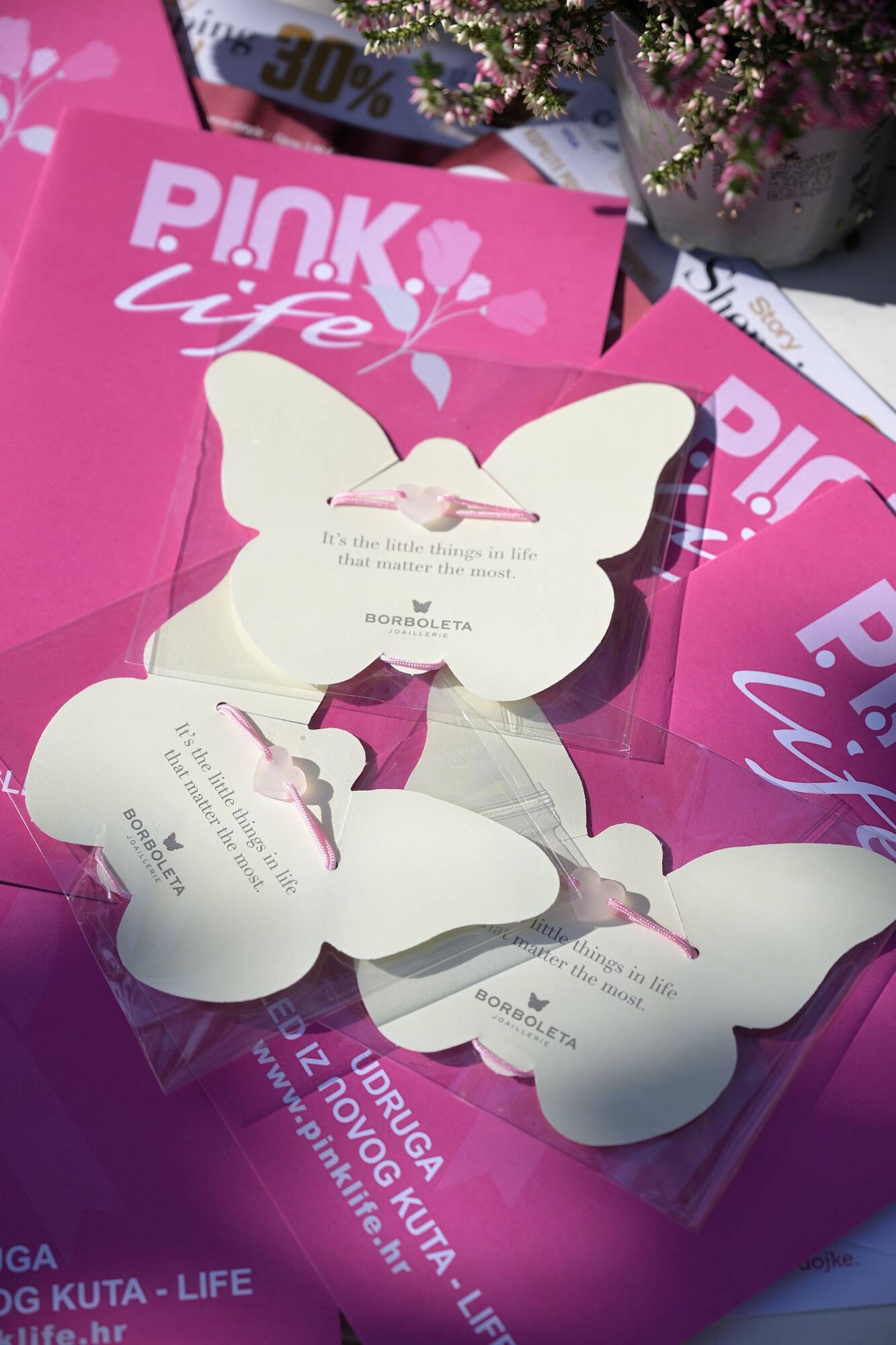 Story Pink Fest