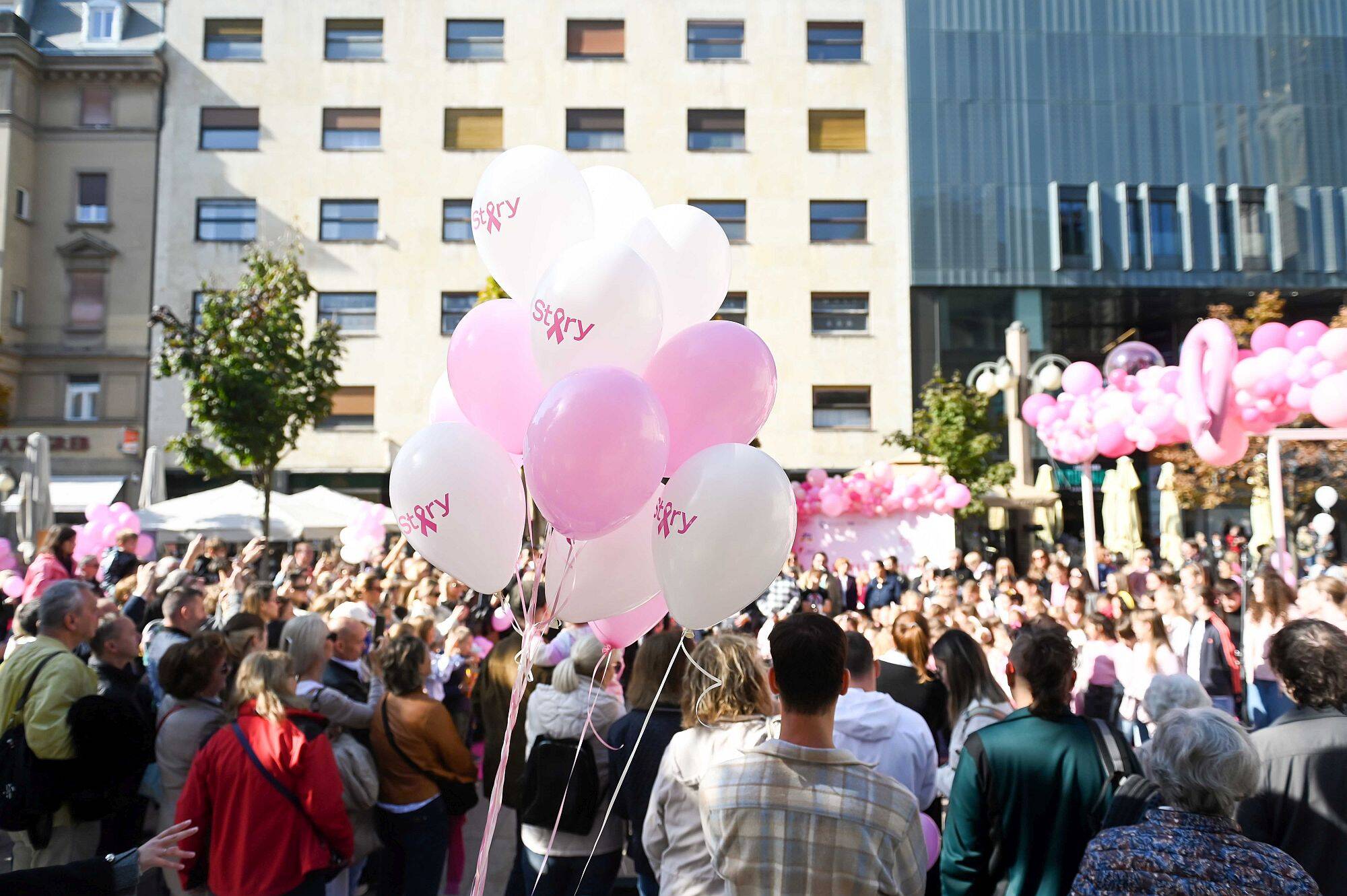 Story Pink Fest