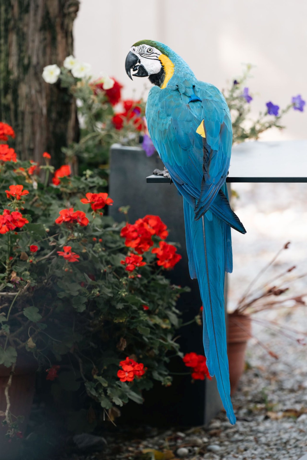 Besplatan koncert Cubisma u Zagrebu