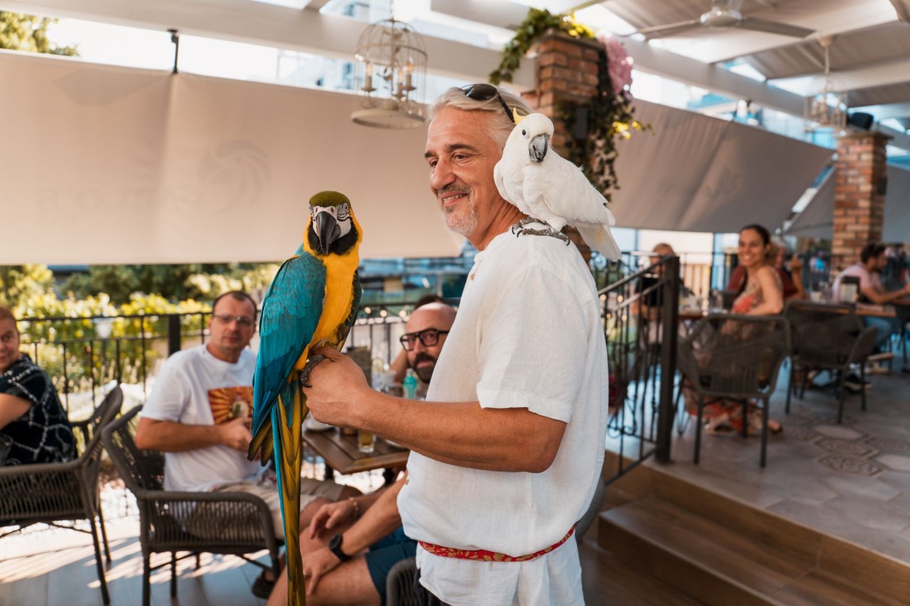 Cubismo i egzotične papige na rođendanu zagrebačkog restorana Botanist koji će se dugo prepričavati