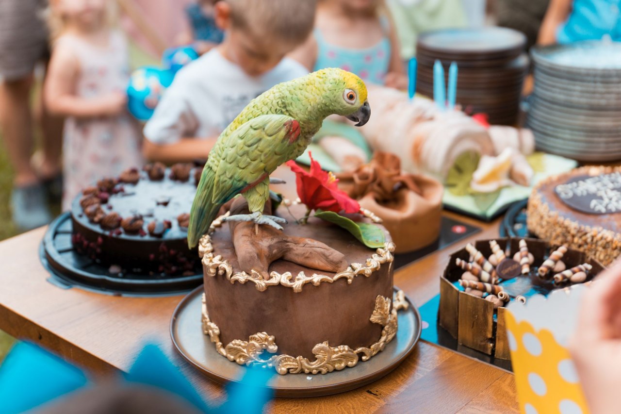 Cubismo i egzotične papige na rođendanu zagrebačkog restorana Botanist koji će se dugo prepričavati