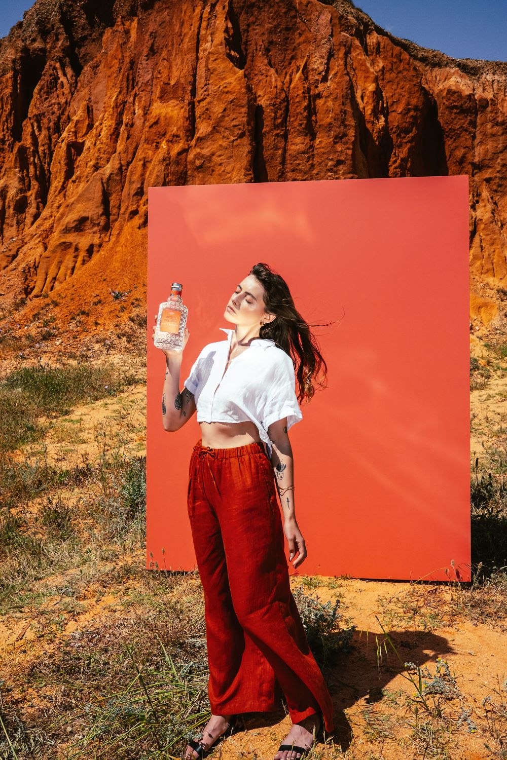 ACQ_Fig & Vetiver_Mood4.jpg