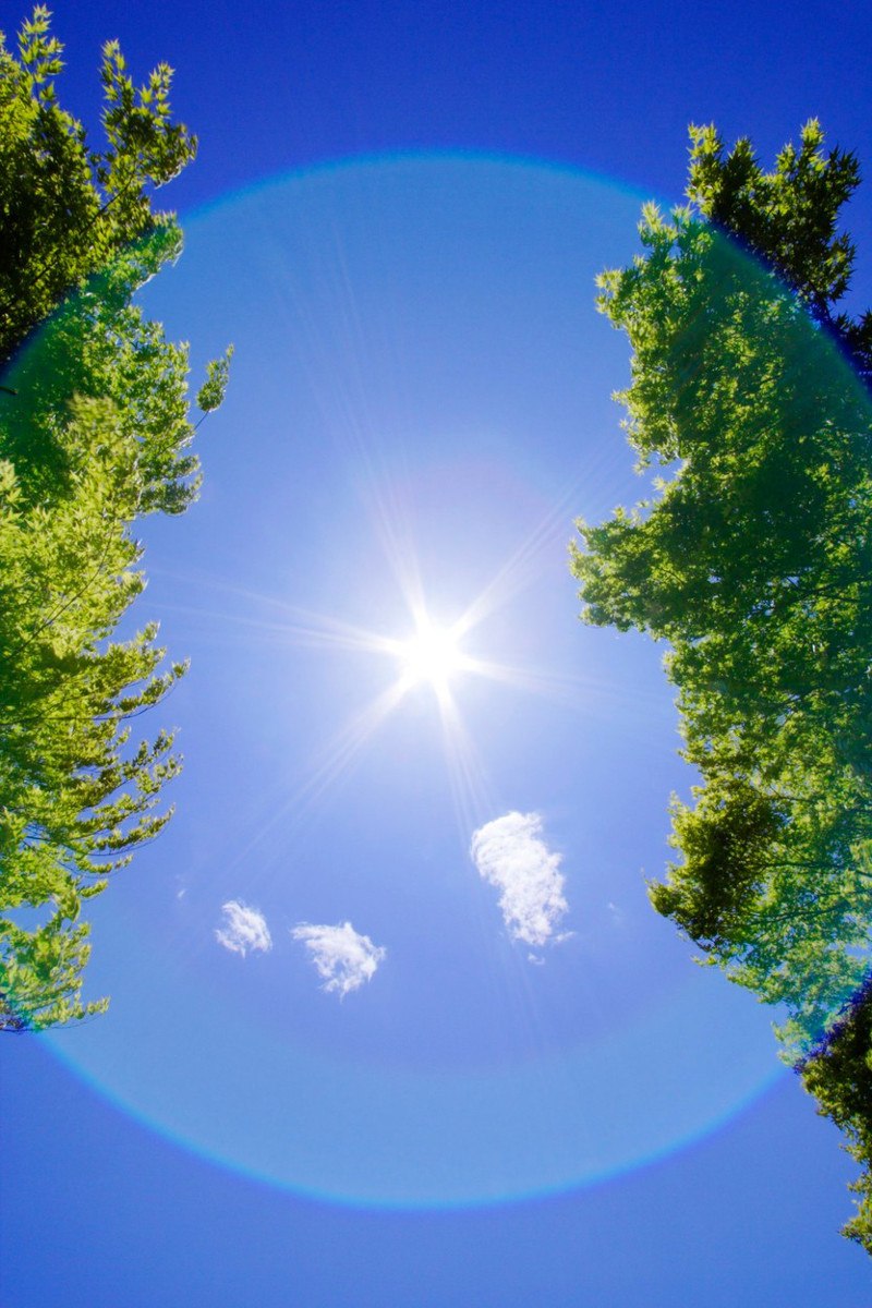 Sunce