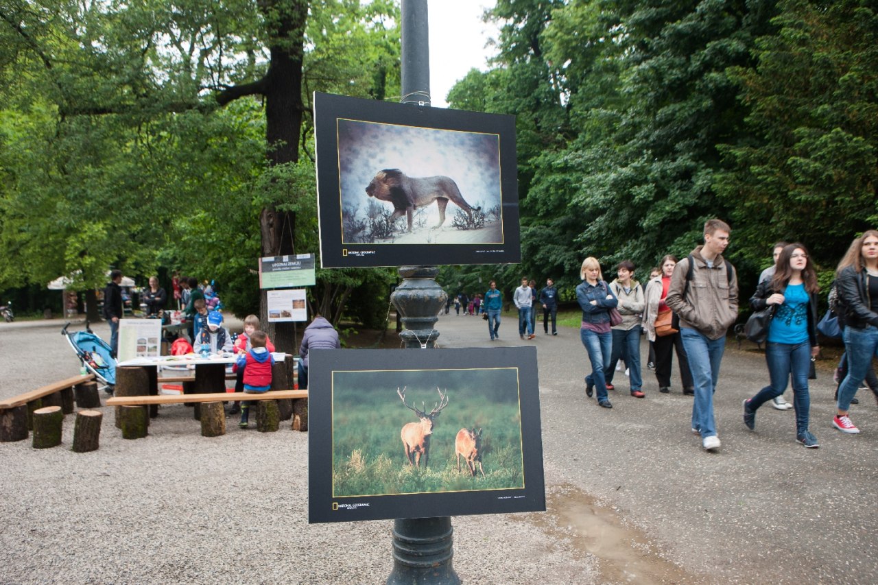 National Geographic Dan bioraznlikosti 31
