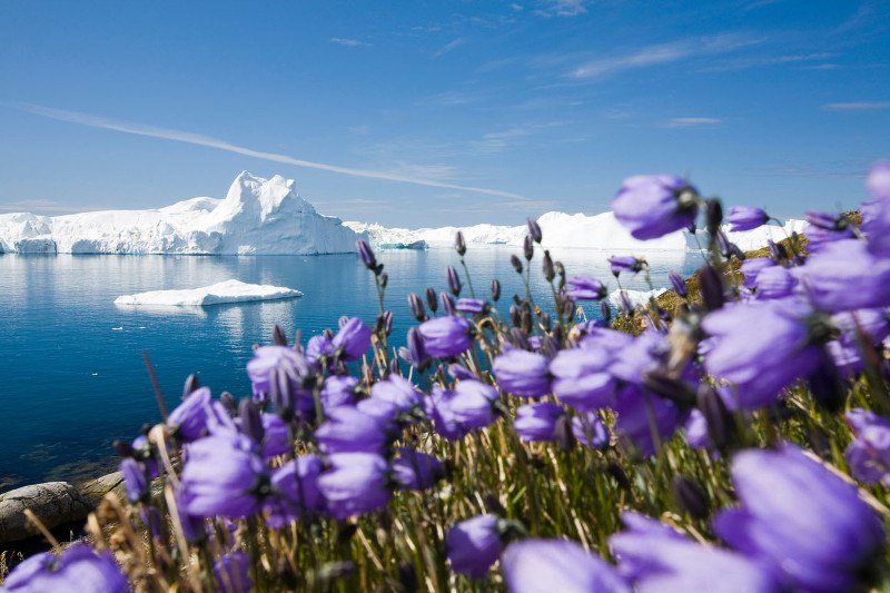 Grenland 6
