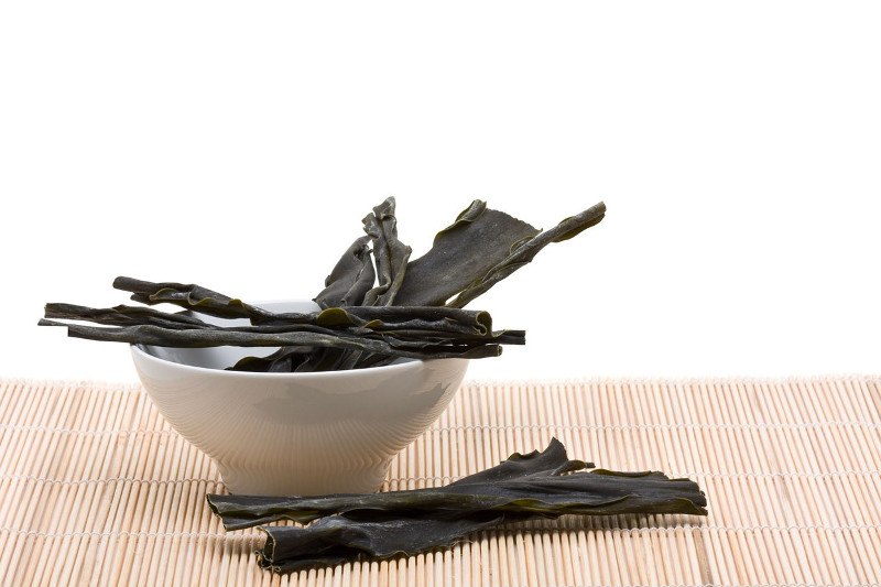 kombu alga